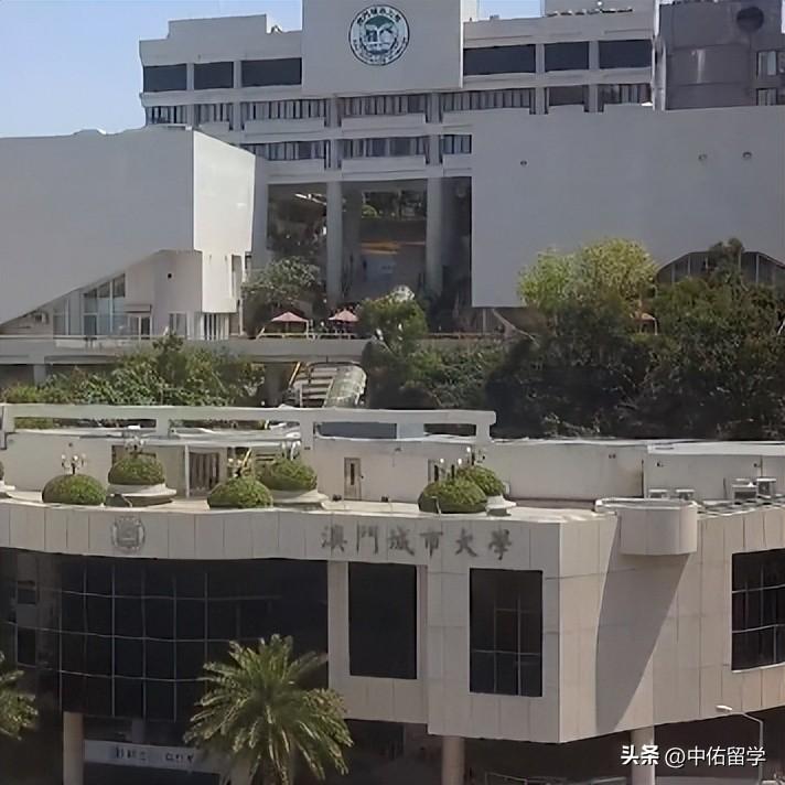 2024年澳门天天开好大全,科技成果解析_ICU87.252沉浸版