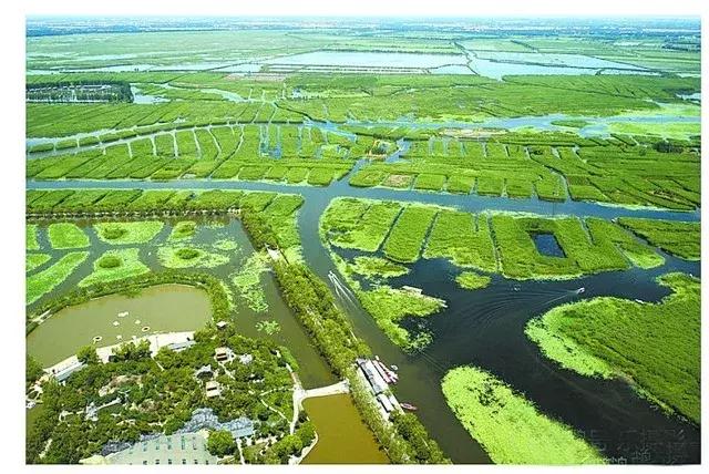 雄安环保最新动态，绿色建设蓬勃发展之美貌初显
