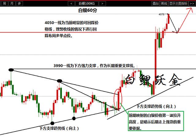 2024年69期跑狗图,精准解答解释落实_储蓄版73.545