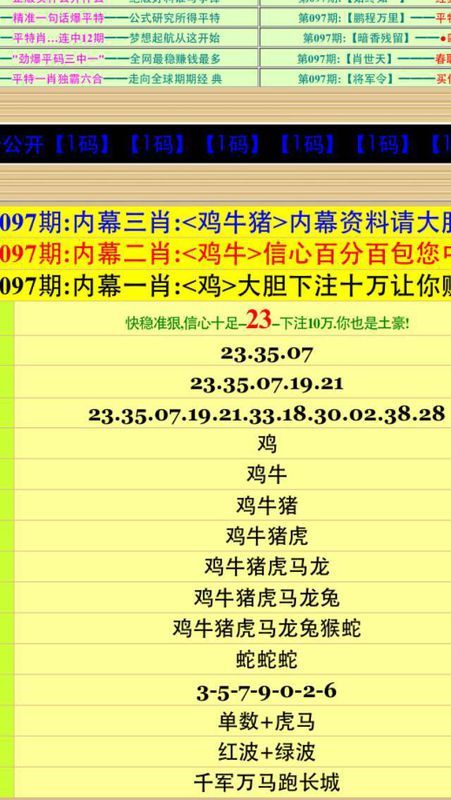 2024今晚新澳门开特马,正式解答解释落实_Q86.904