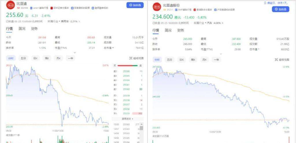 新澳天天开奖资料大全600Tk,经典解答解释落实_特别款51.234