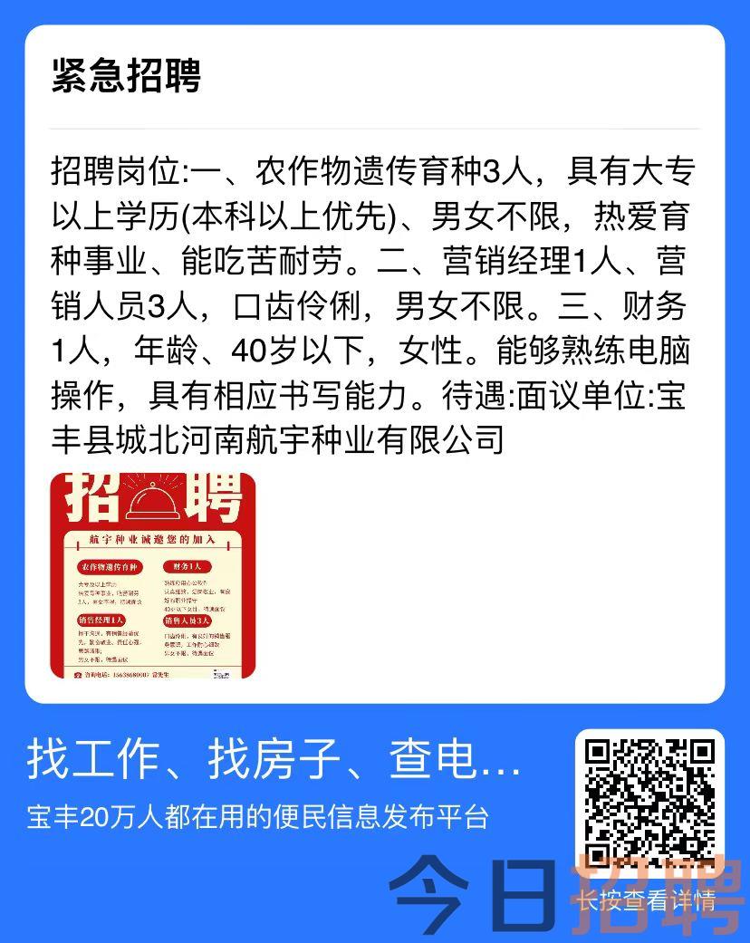 孟津招聘网最新招聘信息及动态速递