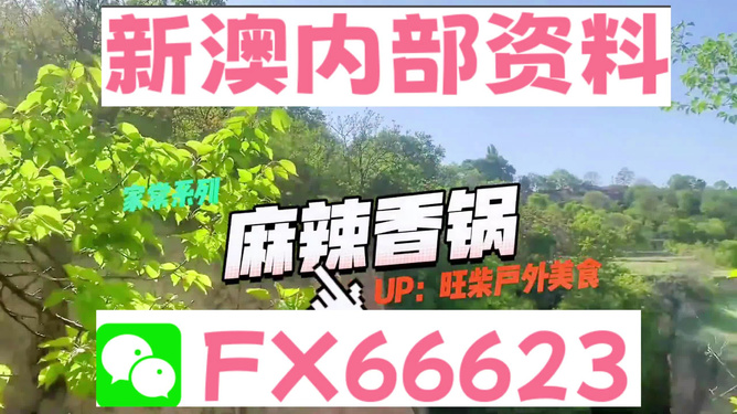 新澳精准资料免费提供,实地考察数据执行_iPhone69.60.96