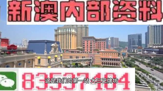 2024新澳正版资料最新更新,专家评估说明_进阶版39.52.94