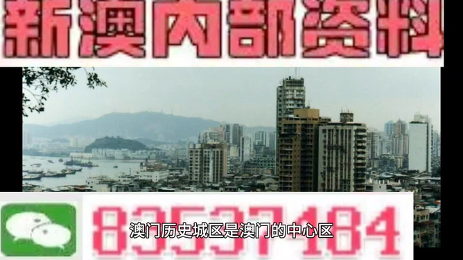 4949澳门免费精准大全,全面解读说明_经典款78.69.78