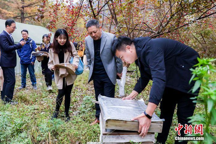 最新陕西省扶贫办主任,最新陕西省扶贫办主任，铸就脱贫攻坚新篇章