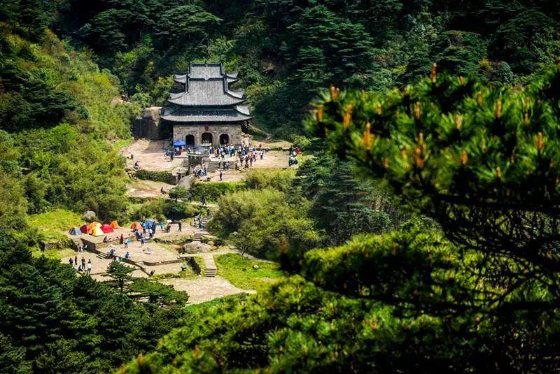 盛夏采薇的最新作品,盛夏采薇的诗意之旅，最新作品探寻与赏析