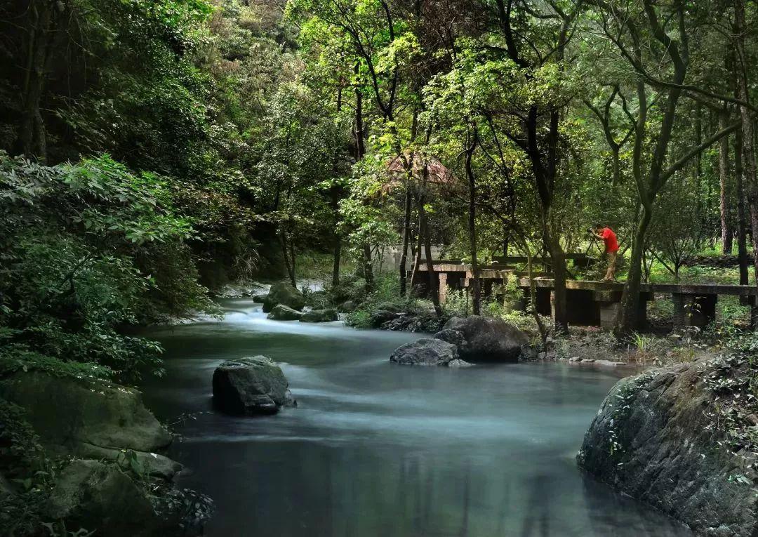 东阳最新招聘启事，一起开启自然美景的探索之旅