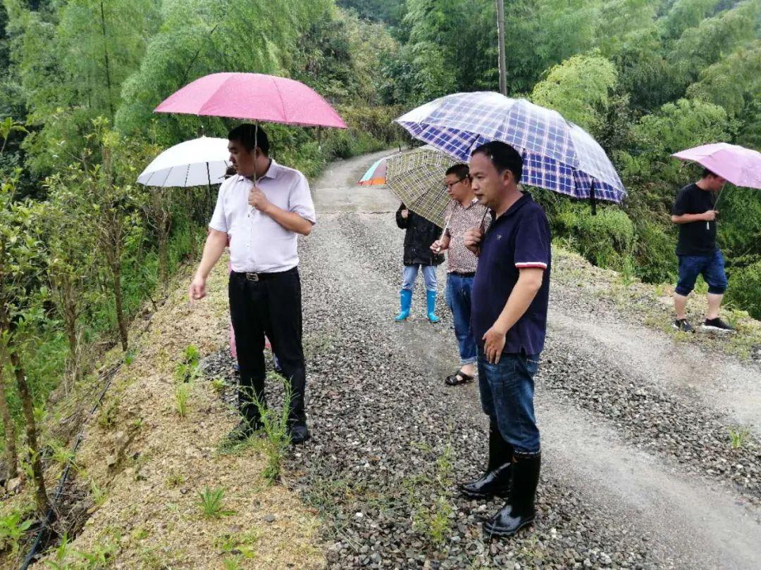 最新台风实时发布系统，安心无忧的台风监测通知🌀🌟