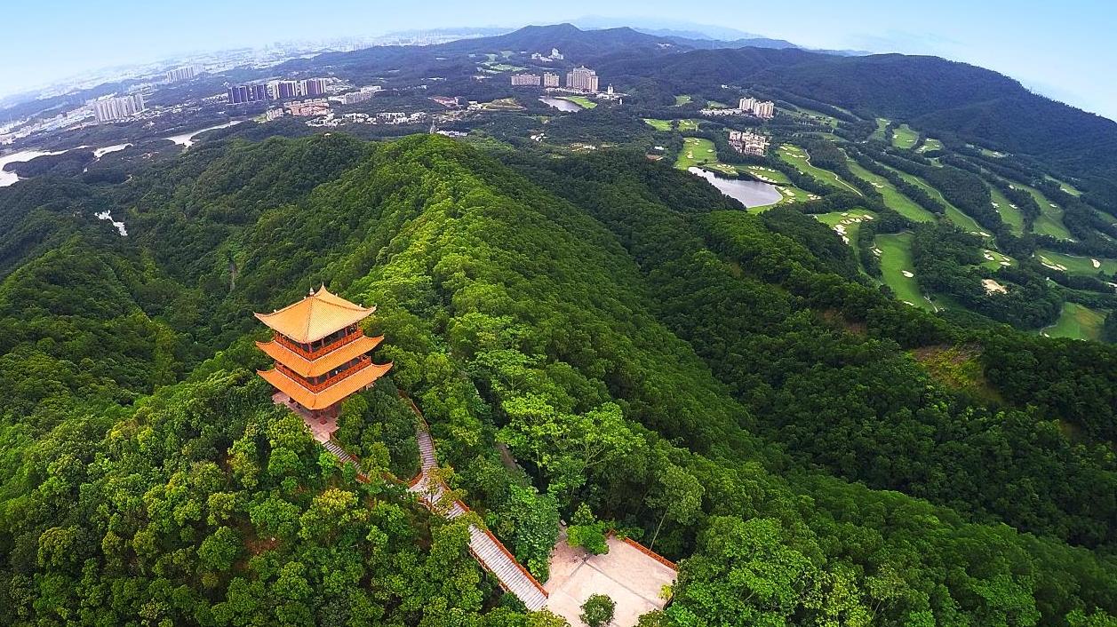 茂名二手房信息大揭秘，最新房源动态与购买指南 🏠✨