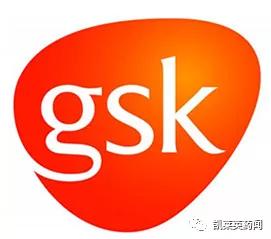 GSK最新进展解读，聚焦关键要点更新