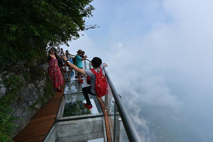 垂直采最新，自然美景的心灵之旅探索