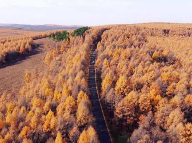 山楂妹的新旅程，拥抱自然美景，寻觅内心宁静之乐