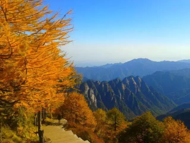 盛泽地铁最新动态，探秘自然美景，追寻内心宁静与平和之旅