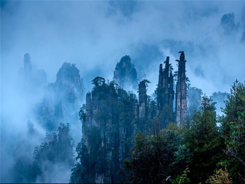 直播探索自然美景之旅，寻找内心平和之地的词组之旅