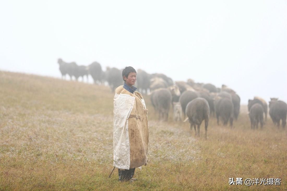 深山直播间，时代之声的深山回响