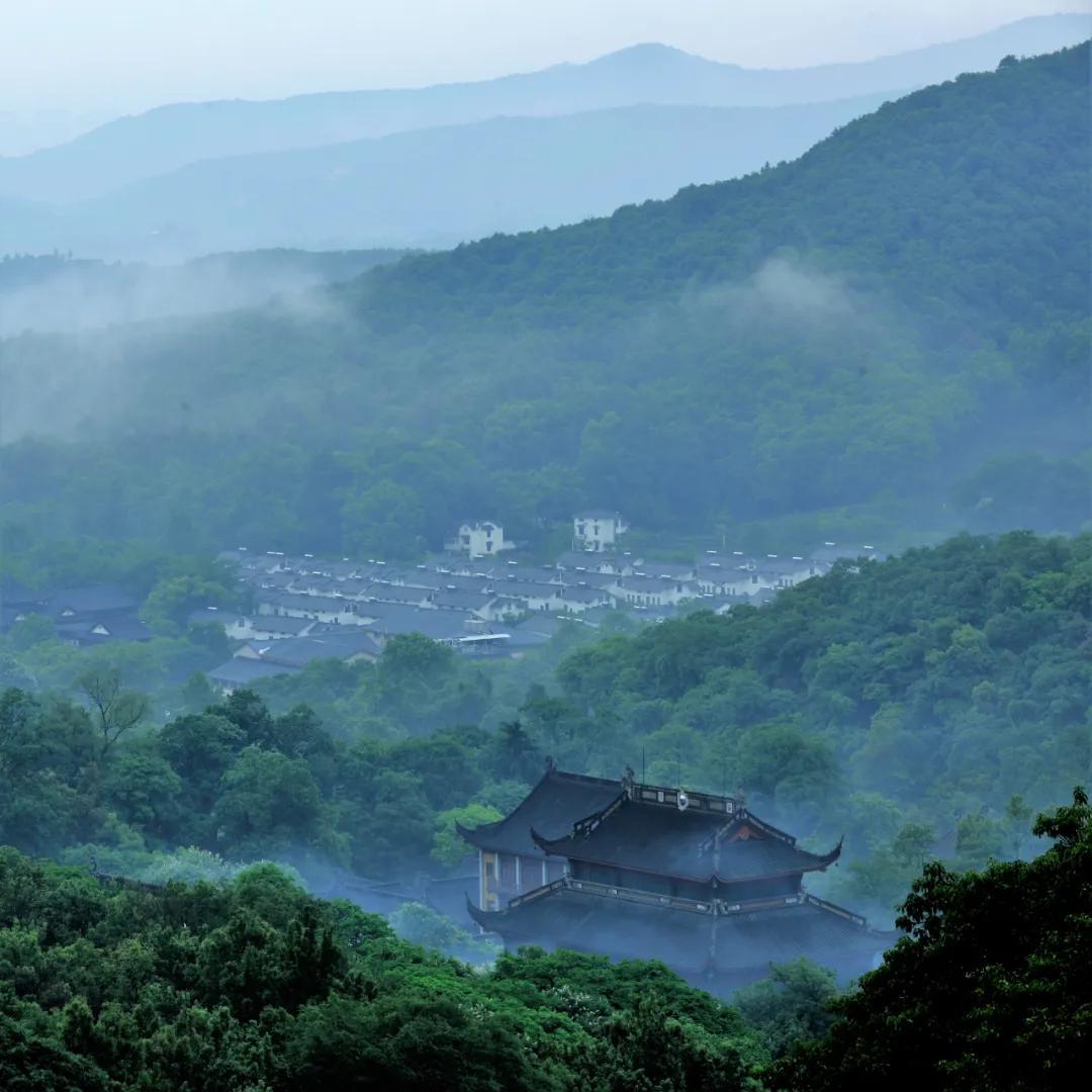 线上直播念佛，心灵之旅的崭新启程