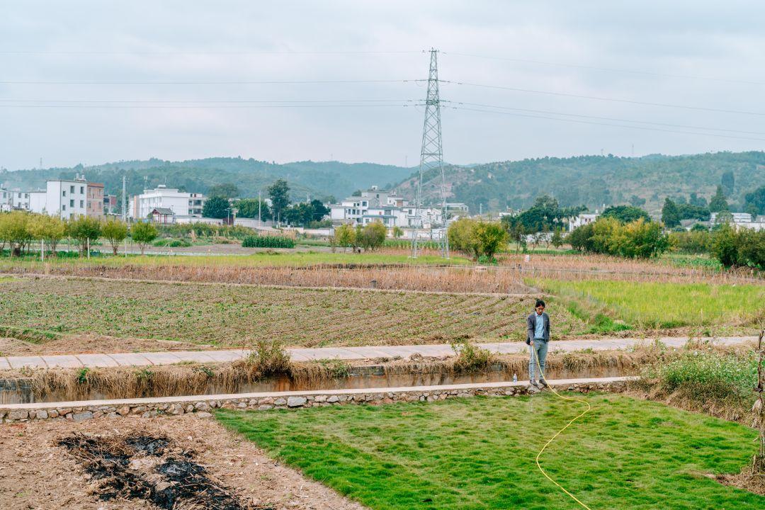 建水改市最新动态，我的观察与见解