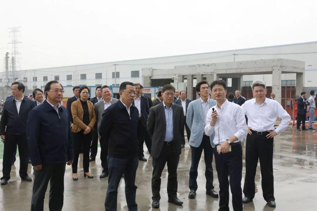 丽岛新材最新动态及观点论述速递