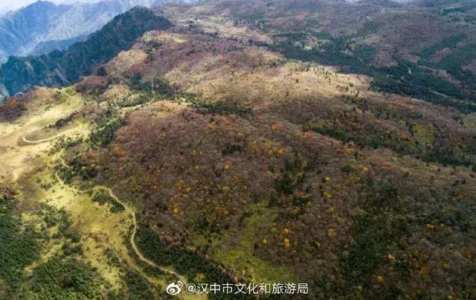 勉县设市最新动态,自然美景的探索之旅启动