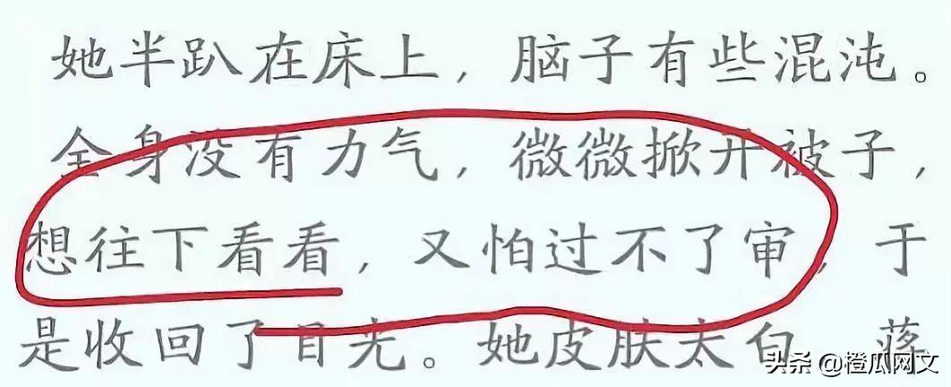 橙瓜码字最新版,数字时代的码字革新之旅