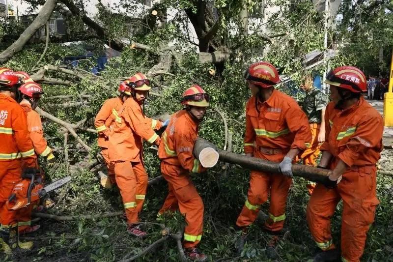 天歌台风最新动态更新