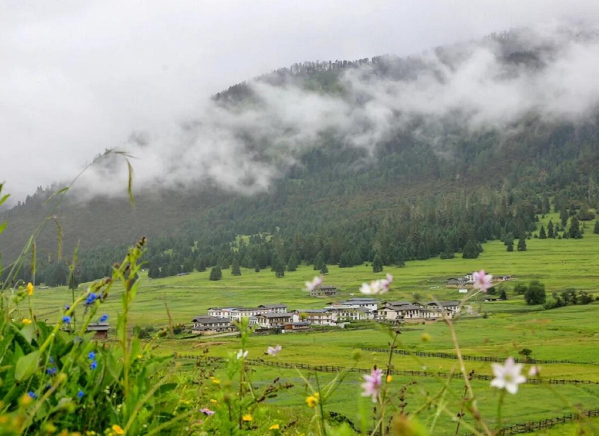 古装神话电视剧大全,巷弄深处的神秘宝藏揭秘