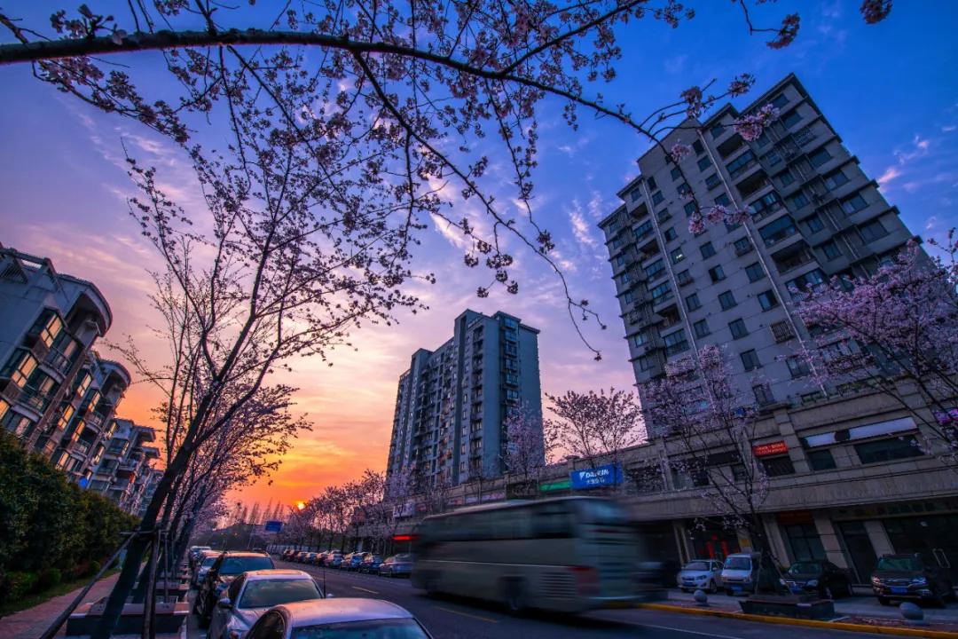 美图最新款手机型号探索,与自然美景的旅行启程!