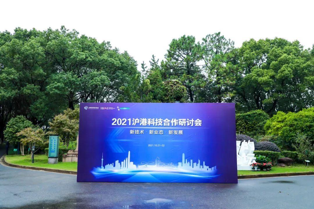 青浦人才网最新招聘信息速递✨