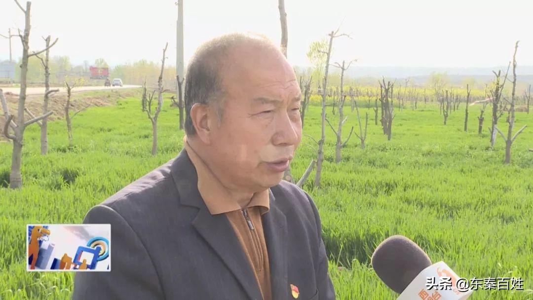 家庭常备 第419页