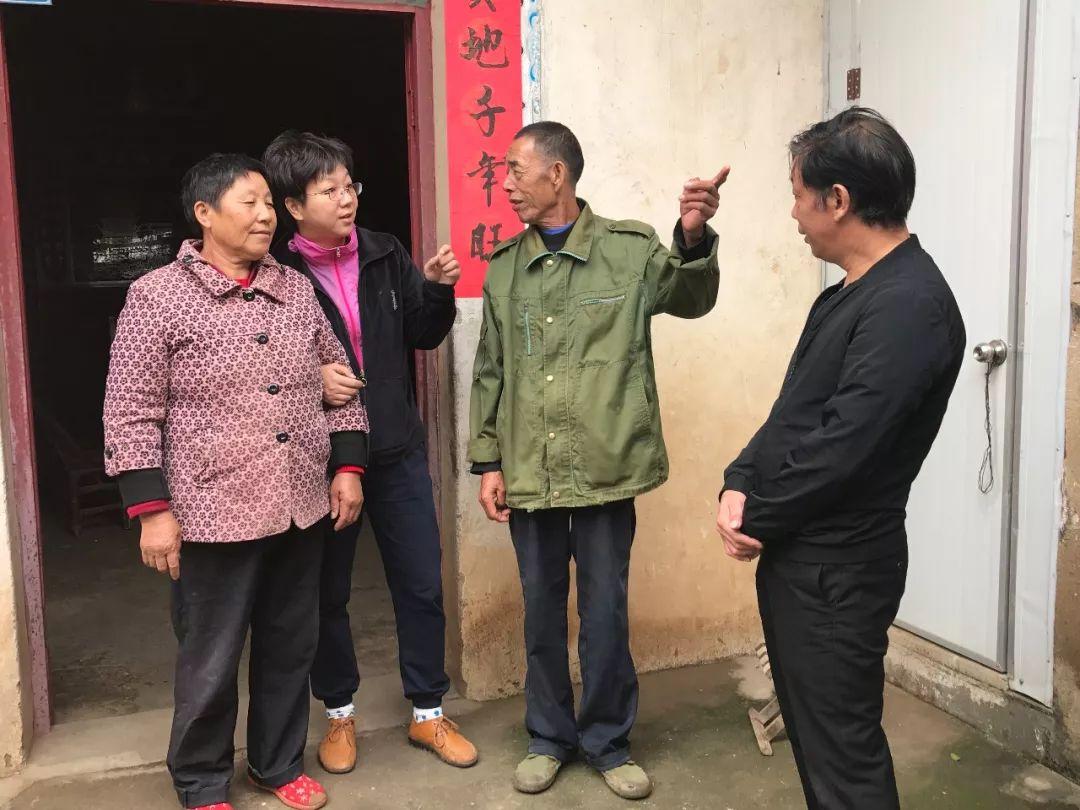 最新中国光伏企业排名,心灵与自然的和谐之旅