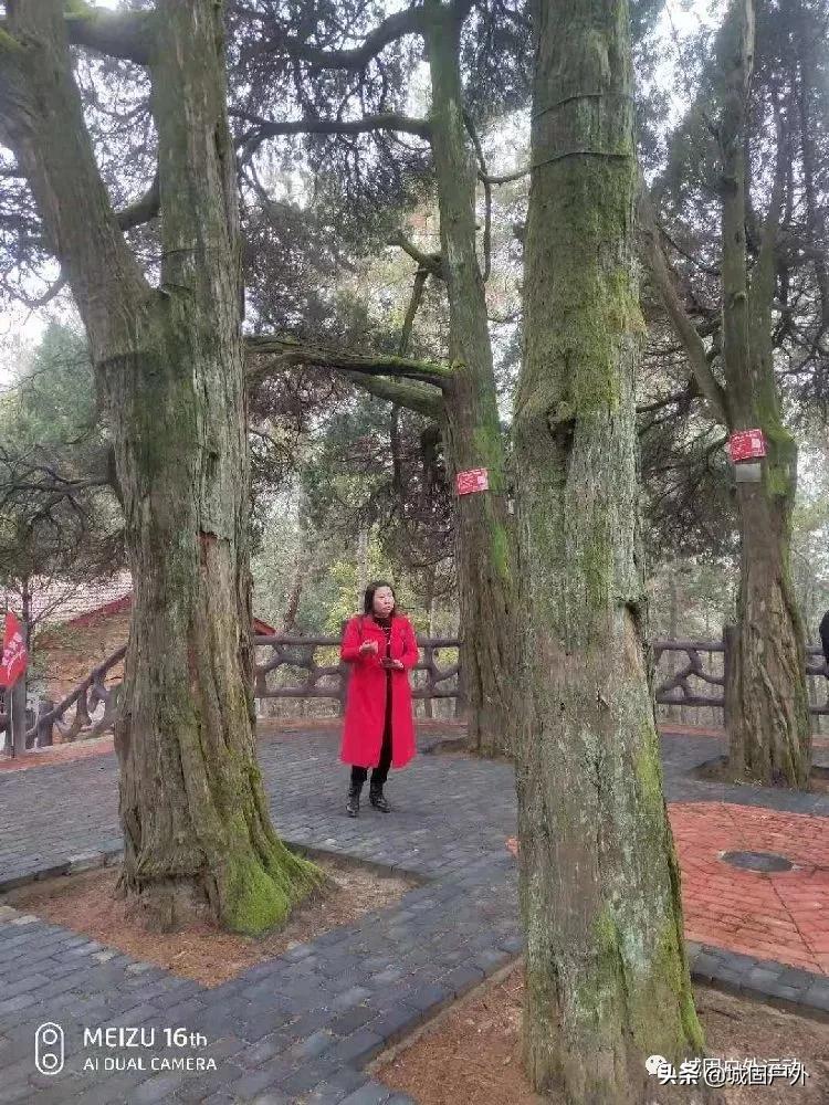 美妆护肤 第420页