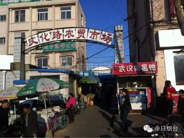 海阳人才市场最新招聘信息与求职指南